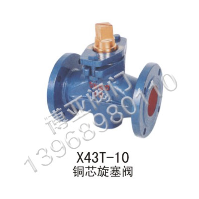 �~о�����y(X43T-10)