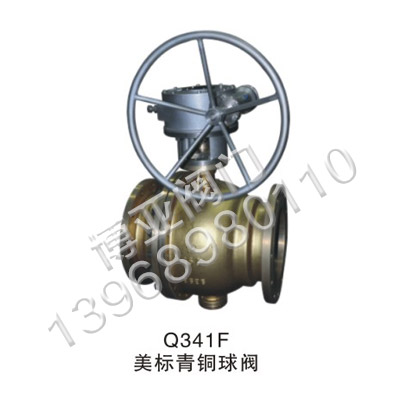 �������~���y(Q341F)