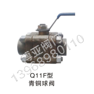 ���~���y(Q11F��)