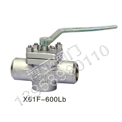 ���P������y(X61F-600LB)